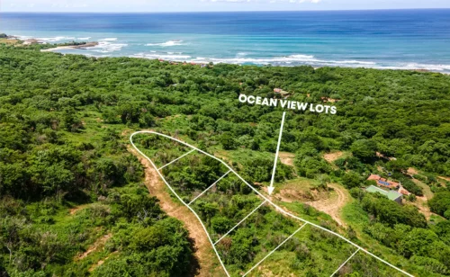 Oceanview Lots at Mango Time Beach Resort in Playa El Astillero